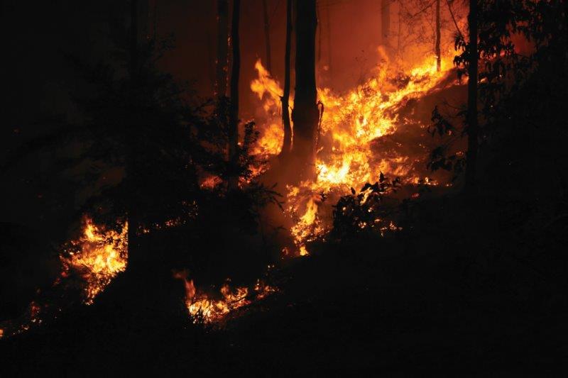Bushfire blaze